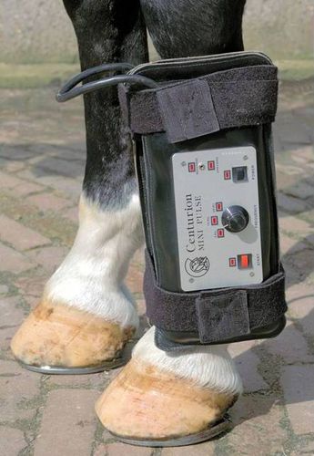Unità di magnetoterapia per equini - Centurion Mini Pulse  - Centurion Systems - indossabile