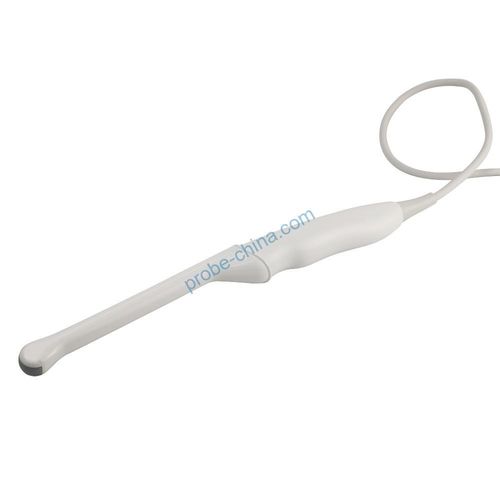 Sonda ecografica endocavitara - Shenzhen Shenchao Transducer