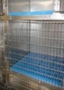 Gabbia veterinaria modulare - 1018/Rev2 - RICA Surgical - in policarbonato