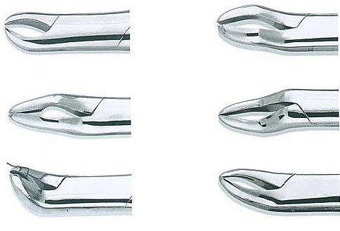 Pinza dentale - TK-D3647 - TENKO MEDICAL SYSTEM CORP