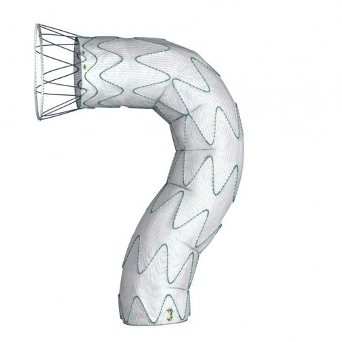 Innesto stent di aorta toracica - DOMINUS® - Braile Biomedica - in poliestere