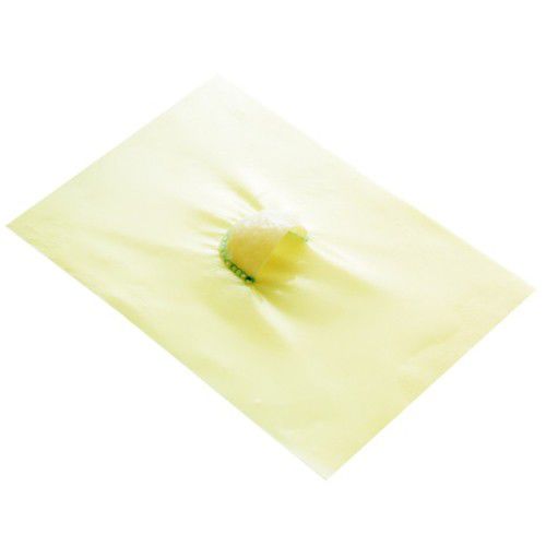 Matrice tissutale chirurgia cardiaca - MONOCUSPID - Braile Biomedica - xenotrapianto