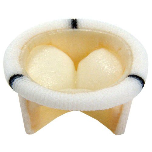 Bioprotesi valvolare per valvola tricuspide - 8316 - Braile Biomedica - polmonare / mitrale / aortica