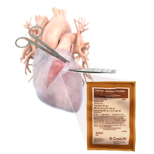 Matrice tissutale chirurgia cardiaca - CryoPatch - Cryolife - allotrapianto