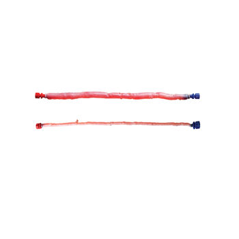 Bioprotesi vascolare arteria polmonare - CryoVein® PC - Cryolife - allotrapianto / pediatrica