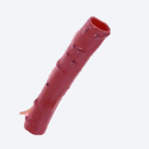 Bioprotesi vascolare arteria polmonare - CryoGraft®  - Cryolife - allotrapianto / con valvola