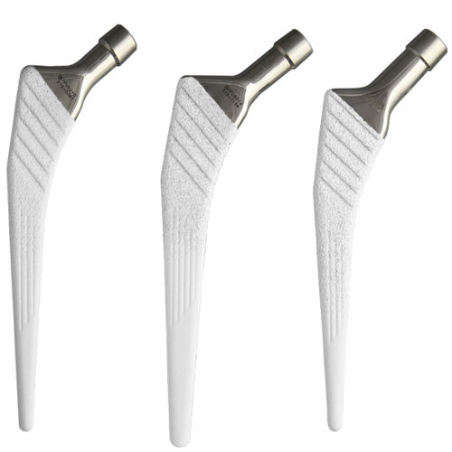 Stelo femorale non cementato - FORTRESS ND® - Biotechni