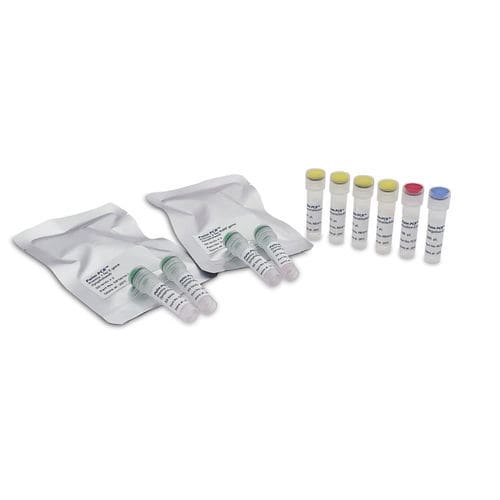 Kit di test per diagnosi COVID-19 - Palm PCR™ - Ahram Biosystems, Inc. - SARS-COV-2 / in tempo reale