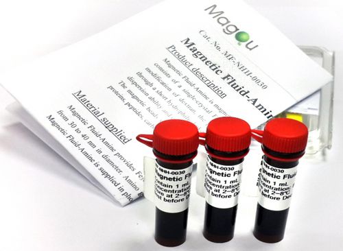 Kit di reagenti a biglie magnetiche - MF-NHH-0060 series - MagQu Co., Ltd. - clinico / liquido / di proteine
