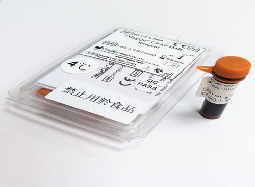 Reagente anticorpo - MF-GFA-0060 - MagQu Co., Ltd. - da ricerca / diagnostico / di proteine