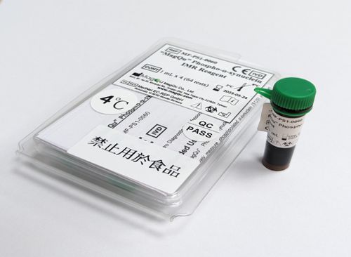 Reagente di alfa-sinucleina - MF-PS1-0060 - MagQu Co., Ltd. - anticorpo / per immunoanalisi / di ferro