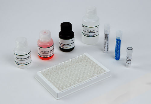 Kit di test per applicazioni medico-legali - 100919 - Neogen Corporation Inc. - per controllo di qualità / di sangue / di urina