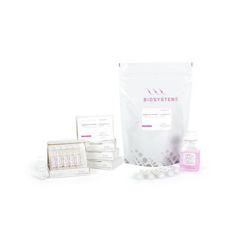 Kit di reagenti DNA polimerasi - qPCRBIO SyGreen Mix - PCR Biosystems Ltd. - colorante / per acidi nucleici / per PCR real-time