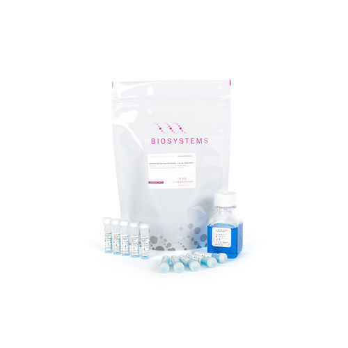 Kit di reagenti colorante - qPCRBIO SyGreen Blue Mix - PCR Biosystems Ltd. - per acidi nucleici / per qPCR / con avviamento a caldo