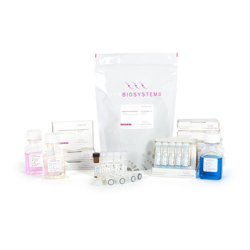Kit di reagenti soluzione di dNTP - PB90. series - PCR Biosystems Ltd. - Taq polimerasi / inibitore di Rnase / diagnostico