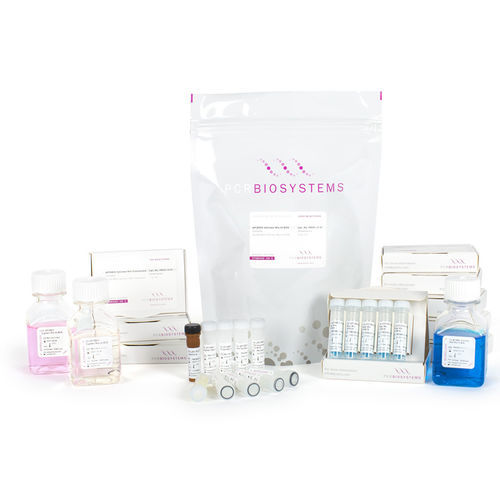 Kit di reagenti soluzione di dNTP - Clara™ HRM - PCR Biosystems Ltd. - Taq polimerasi / colorante / per qPCR