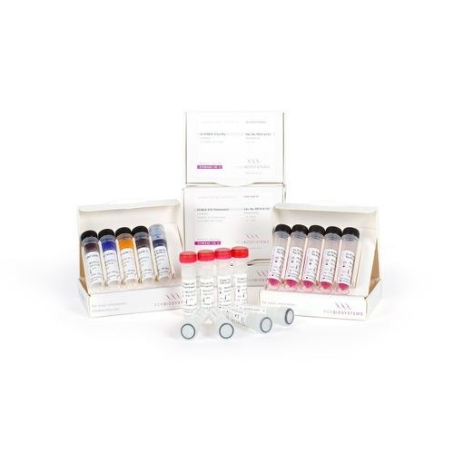 Kit di reagenti enzima - VeriFi™ - PCR Biosystems Ltd. - DNA polimerasi / colorante / per PCR