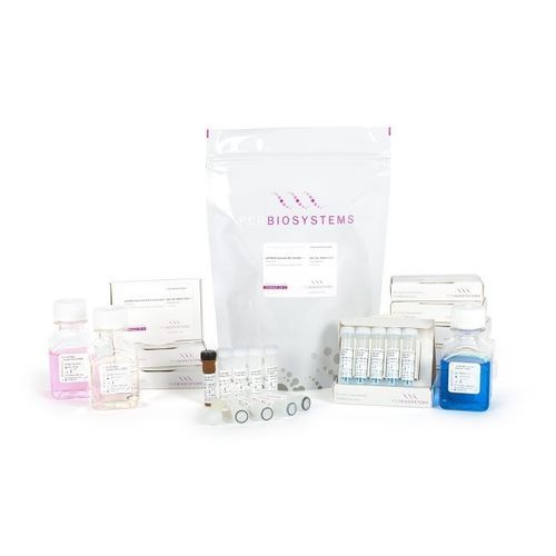 Kit di reagenti DNA polimerasi - Clara™ Probe 1-Step Purple Mix - PCR Biosystems Ltd. - transcrittasi inversa / colorante / per Rt-qPCR