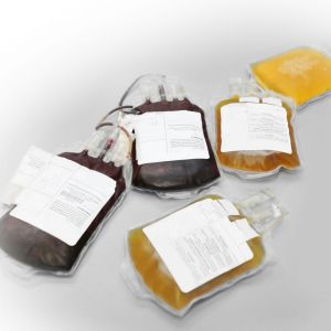 Reagente anticorpo - CS300 series - TCS Biosciences Ltd - di siero / da ricerca / per coltura di tessuti
