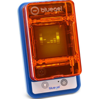 Sistema di elettroforesi per DNA - blueGel™ - Amplyus - compatto / portatile