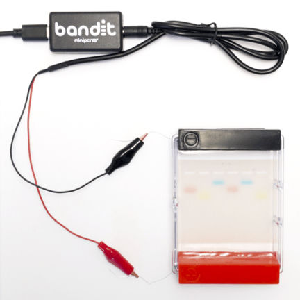 Sistema di elettroforesi per DNA - Bandit™ - Amplyus - portatile