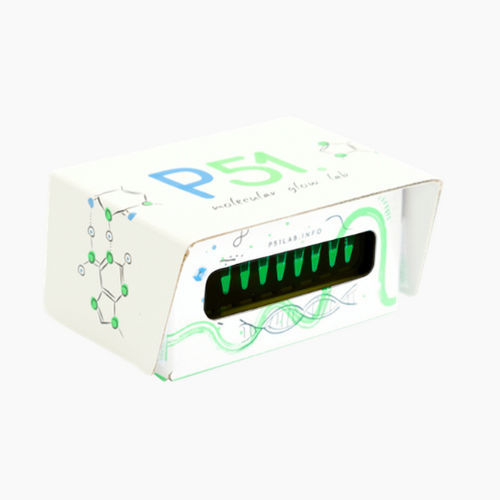 Sistema per documentazione su gel a fluorescenza - P51™ - Amplyus - per DNA / per proteine / per RNA