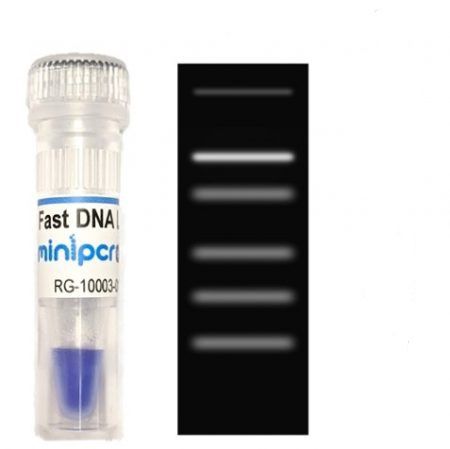 Reagente colorante - miniPCR bio™ - Amplyus - marcatore del peso molecolare / per elettroforesi / liquido