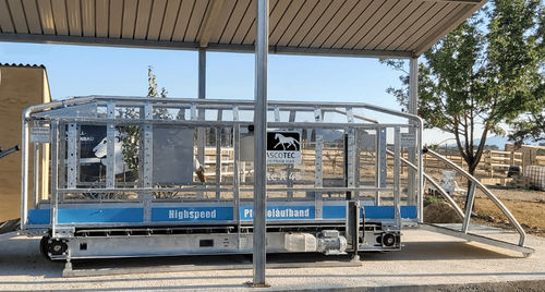 Tapis roulant veterinario per cavalli - ELITE - Sascotec