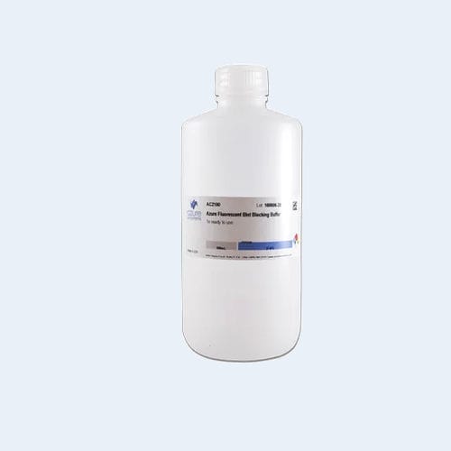 Reagente in soluzione - AC2148 - Azure Biosystems - anticorpo / tampone bloccante / per western blot