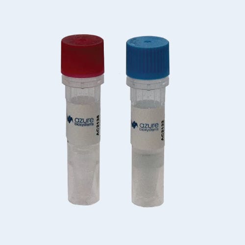 Reagente anticorpo - AC21 series - Azure Biosystems - per immunolocalizzazione / liquido