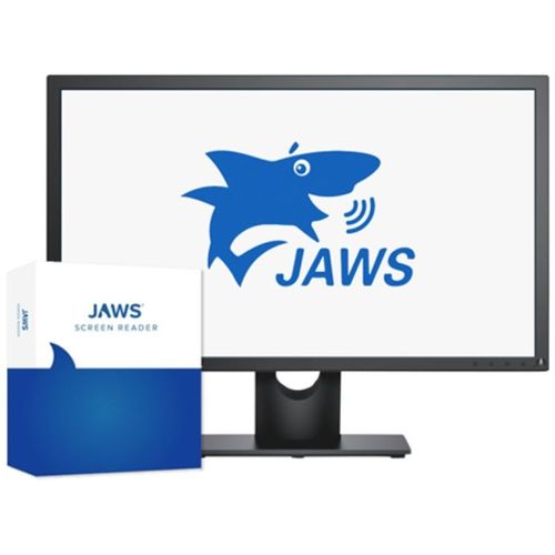 Software per cure domiciliari - JAWS® - Freedom Scientific - didattico / di acquisizione / di lettura schermo