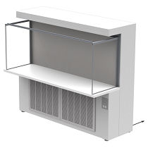 Banco pulito da laboratorio - CAP301 - Clean Air Products - per l'industria farmaceutica / da terra / HEPA