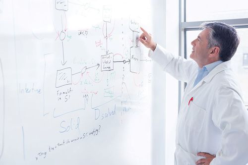 Struttura per muri per strutture sanitarie - Whiterock™ Whiteboard - ALTRO LTD - per blocco operatorio