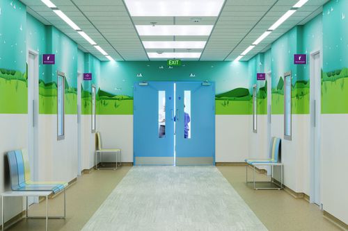Porta di servizio - doorsets™ - ALTRO LTD - per sala operatoria / da laboratorio / battente