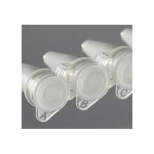 Provetta per PCR - Snap-Cap - Gel Company - per qPCR / con fondo a V / in polipropilene