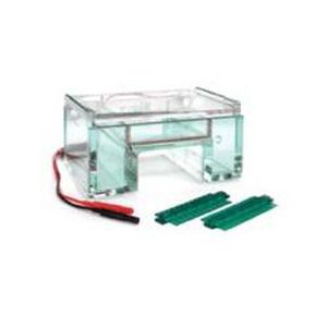 Camera di elettroforesi verticale - B3-G-150 - Gel Company - da banco