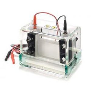 Camera di elettroforesi da banco - P8-1010-NG - Gel Company