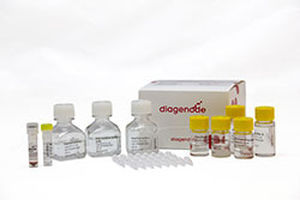 Kit di test oncologico - MagMeDIP - Diagenode - genetico / al plasma / di cellule