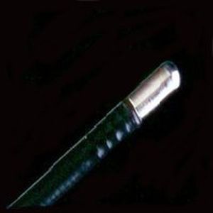 Elettrodo urologico - FST-CE-23-160	 - Creo Medical - di coagulazione / monopolare / a balestra