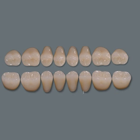 Protesi dentale in acrilico - Three-layer - UAB BALTKOMEDA - per denti anteriori / per denti posteriori