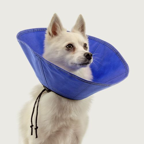 Collare veterinario canino - EZ Soft™ - KVP EU Ltd - regolabile / lavabile