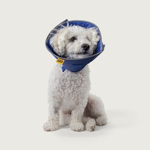 Collare veterinario per cani - Calmer ™ - KVP EU Ltd - regolabile / lavabile / con chiusura Velcro®