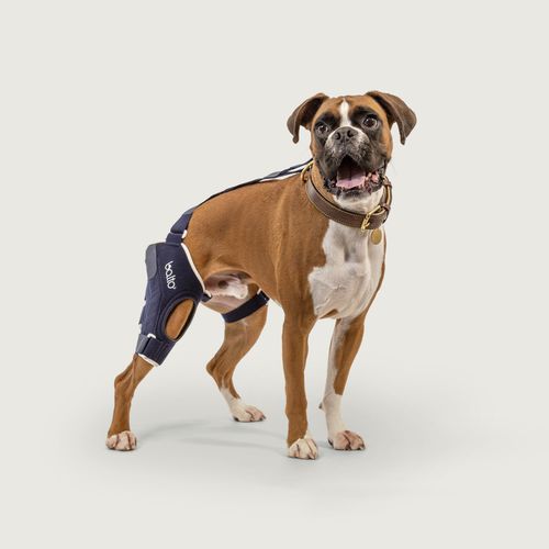 Poggiaginocchia per chirurgia - Balto® Jump - KVP EU Ltd - veterinario / radiotrasparente