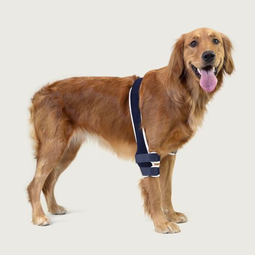 Imbracatura di riabilitazione - Balto® Soft - KVP EU Ltd - veterinaria