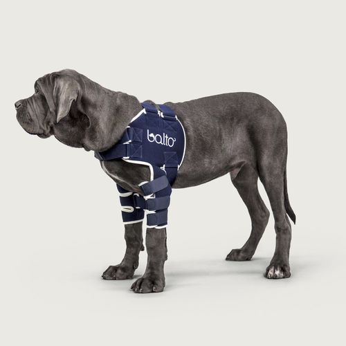 Imbracatura di riabilitazione - Balto® Lux - KVP EU Ltd - veterinaria / per cani