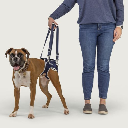 Imbracatura per deambulazione - Balto® Life - KVP EU Ltd - di riabilitazione / per cani