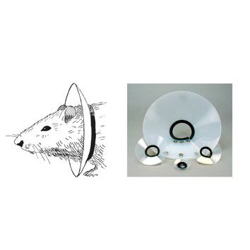 Collare veterinario per roditori - EC201V-10, EC4 Series - Kent Scientific - lavabile / regolabile / per sperimentazione animale