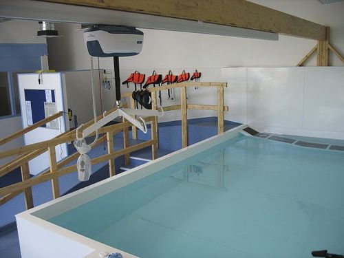 Piscina per riabilitazione fuori terra - Bespoke - Dogpools - veterinaria