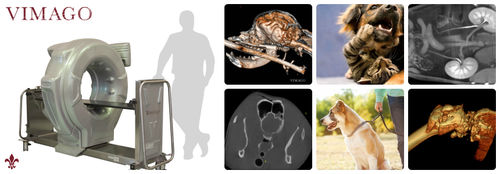 Scanner a raggi X veterinario per animali di grossa taglia - Vimago™ - Epica Medical Innovations - per animali di piccola taglia