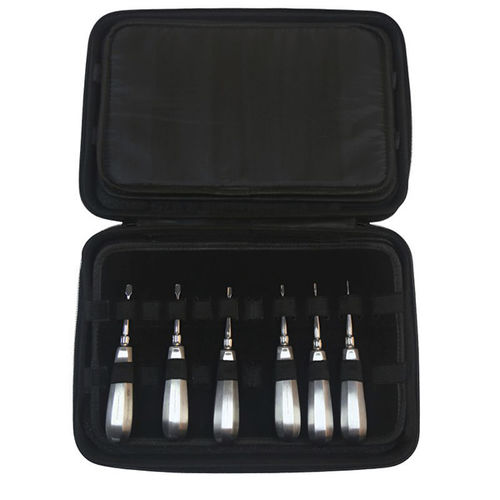 Strumentario veterinario per chirurgia odontoiatrica - DS1005-06 - RWD Life Science - per cani